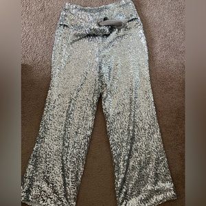 Fringe & Co silver sequin pants perfect for Taylor Swift concert!
